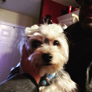 Meet your Posher, Andre